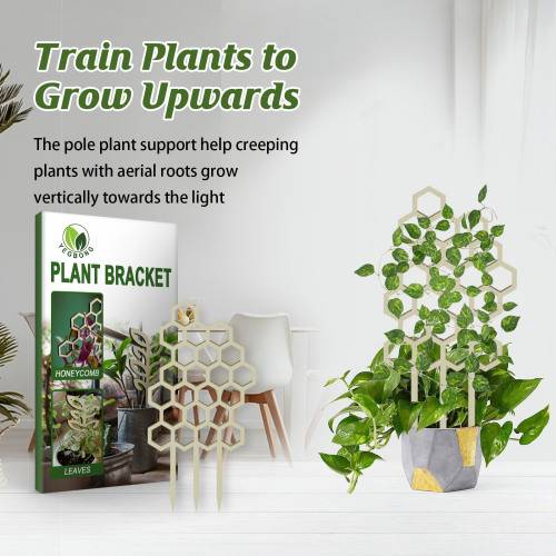 Wooden Geometric Plant Trellis