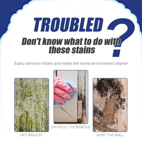 Mildew Remover Spray