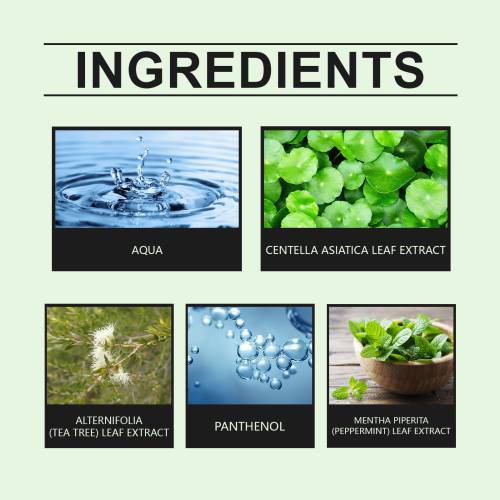Centella & Tea Tree Toner, Soothing & Hydrating