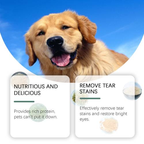 Dog Tear Stain Tablets
