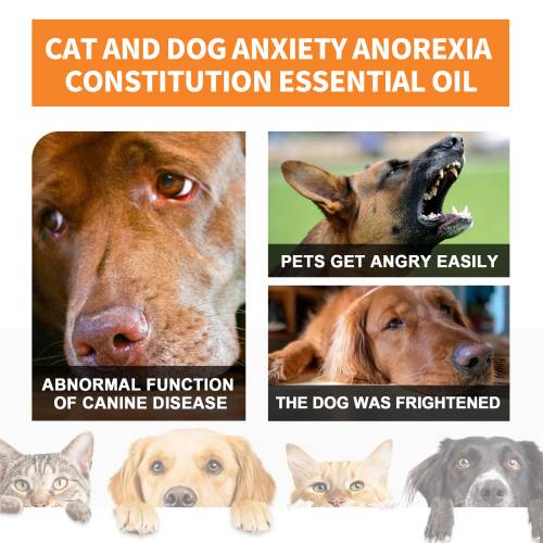 Sesame Seed Oil Pet Supplement