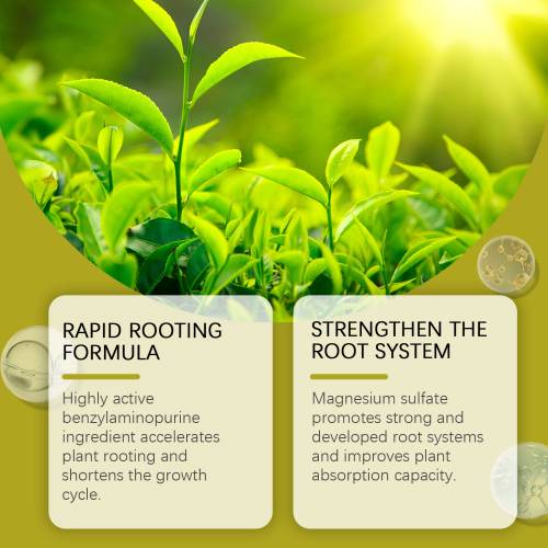 Nitrogen Potassium Root Solution