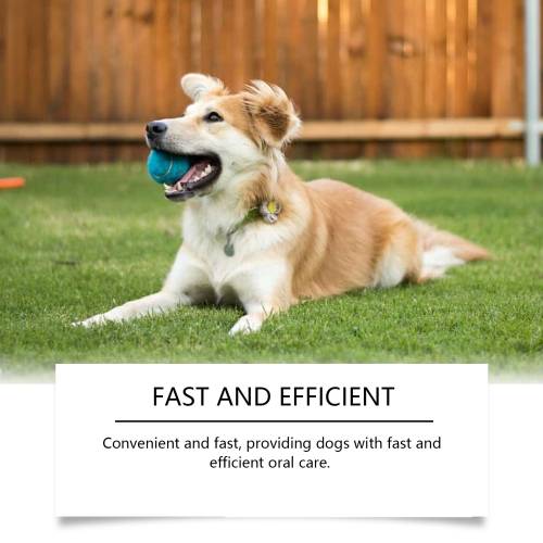 Pet Dental Water Additive