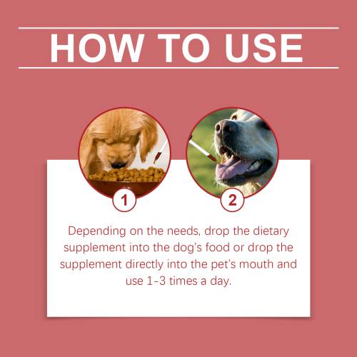 Dog Supplement Syrup