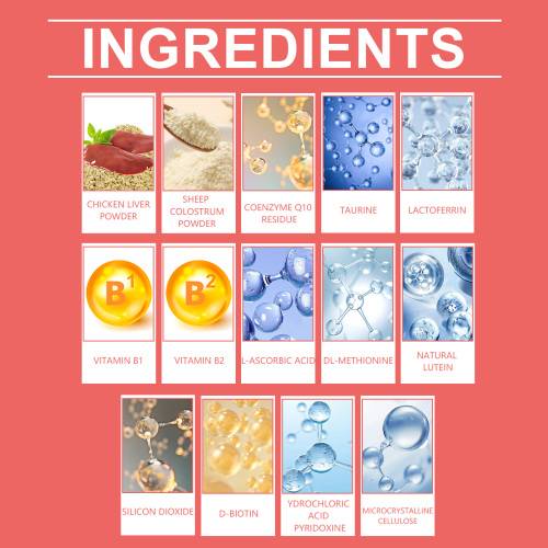 Dog Coenzyme Tablets