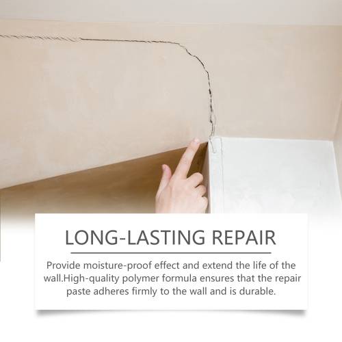 Wall Repair Paste
