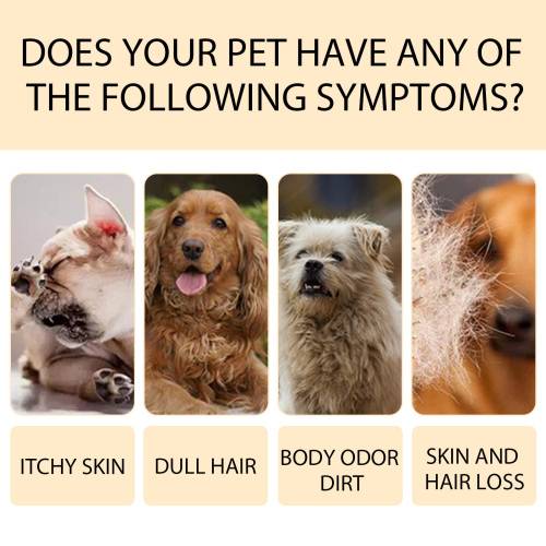 Gentle Pet Shampoo, 100 g