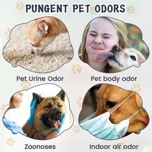 Pet Odor & Stain Eliminator