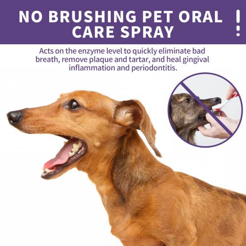 Pet Breath Freshening Spray