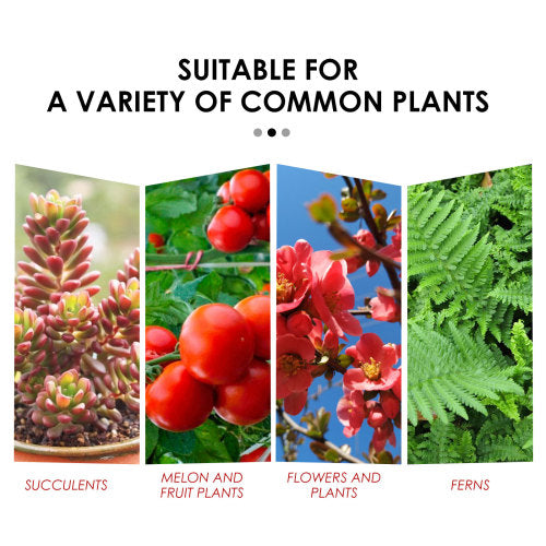 Plant Growth Nutrient Tablets