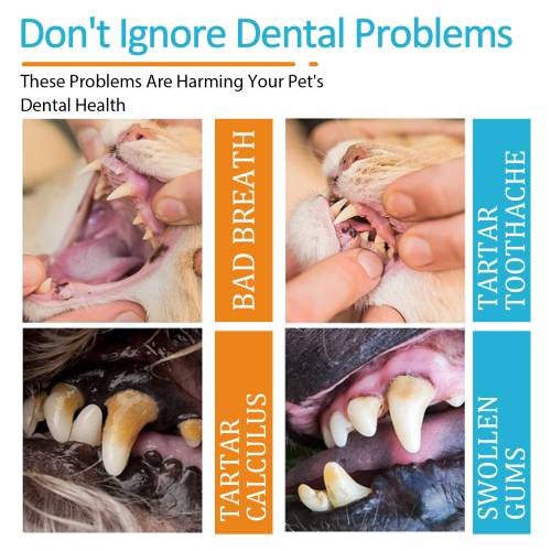Dog & Cat Dental Finger Wipes