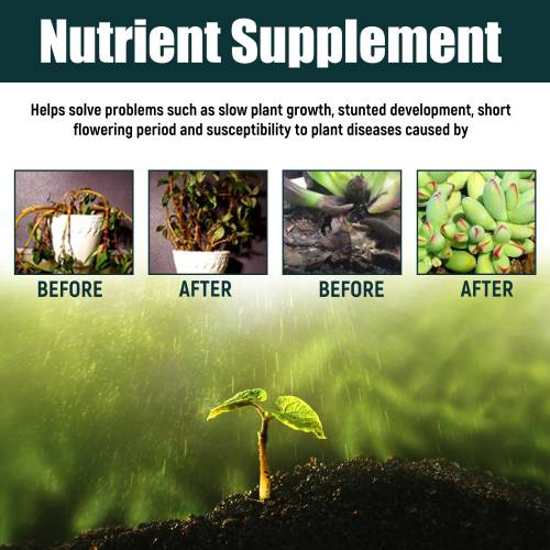 Plant-Based Organic Fertilizer Concentrate