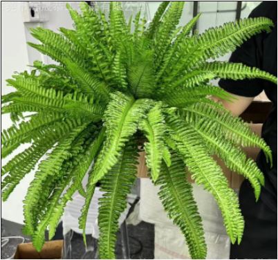 zavevo | UV Resistant Lifelike Artificial Boston Fern