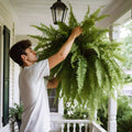 zavevo | UV Resistant Artificial Boston Fern | Lifelike, Waterproof & Maintenance-Free for Outdoor Décor