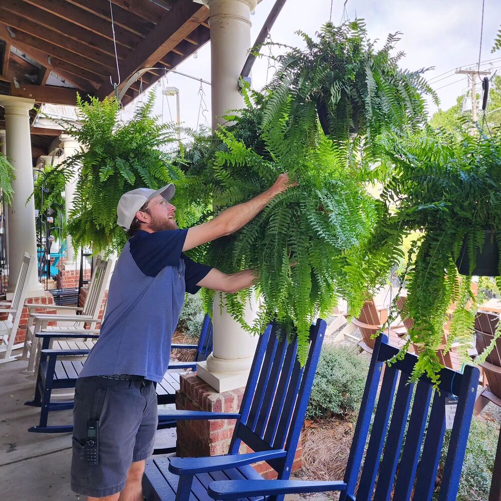 zavevo | UV Resistant Artificial Boston Fern | Lifelike, Waterproof & Maintenance-Free for Outdoor Décor