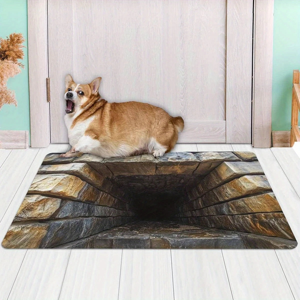 3D Artistic Depth Illusion Mat zavevo