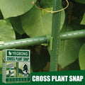 Plastic Plant Support Clips