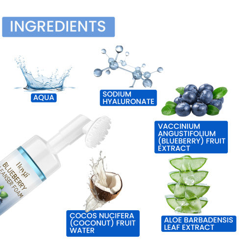 Blueberry Foam Face Cleanser with Coconut Water