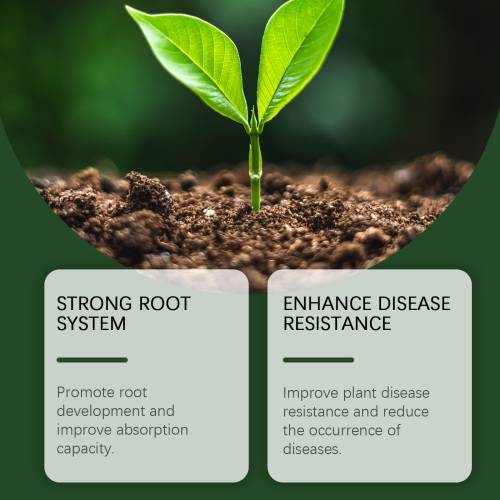 Organic Root Enhancer Powder