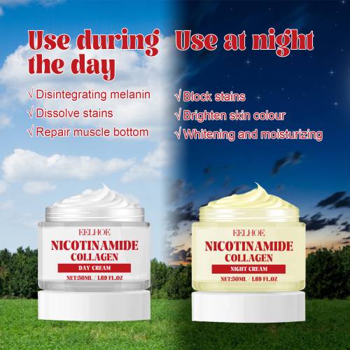 Niacinamide Collagen Day & Night Cream