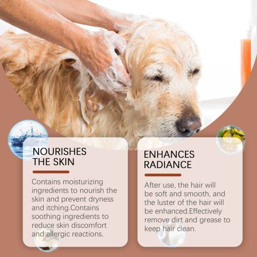 Soft Care Dog Shampoo