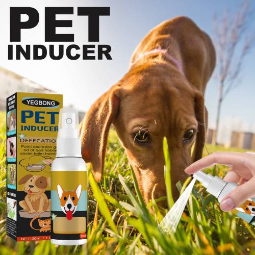 Pet Potty Location Spray