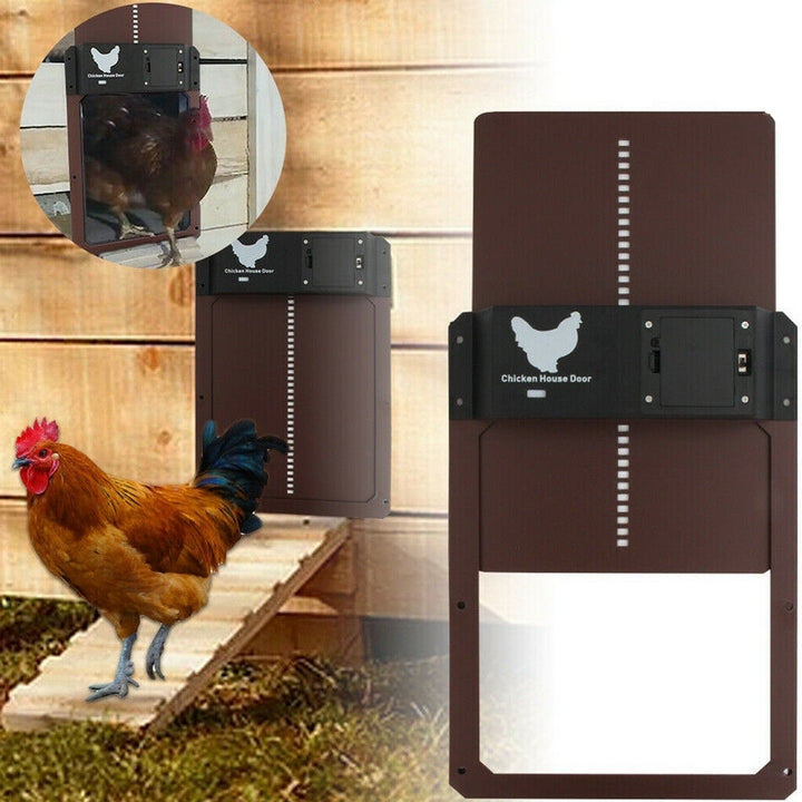 | Poultry PRO+ | Automatic Chicken Door