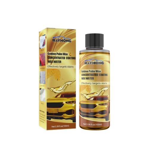 Carnauba Wash & Wax