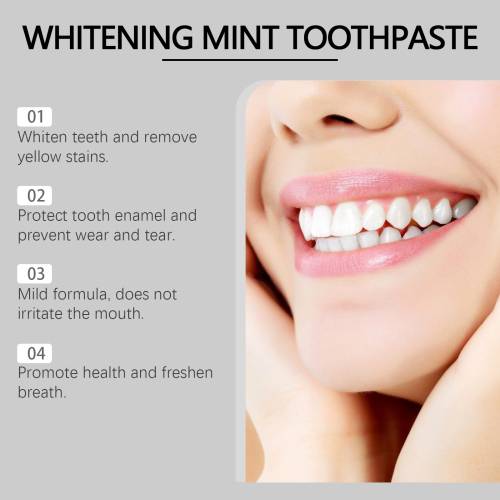 Mint Fresh Toothpaste