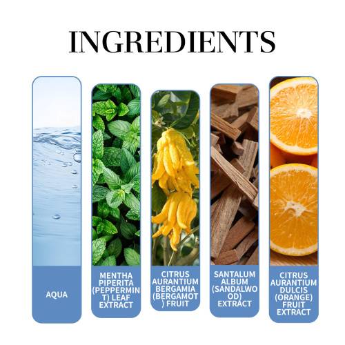 Mint & Sandalwood Perfume