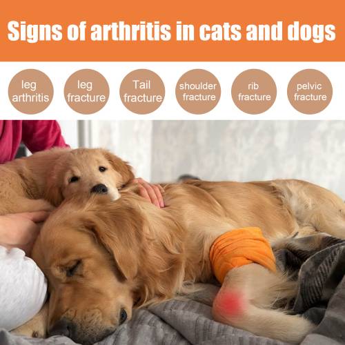 Pet Joint Massage Oil