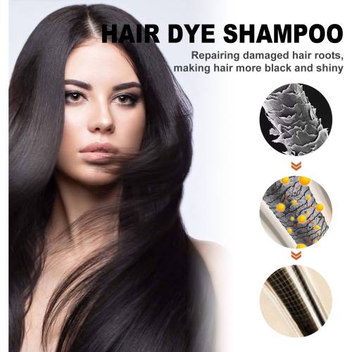 He Shou Wu Black Hair Shampoo