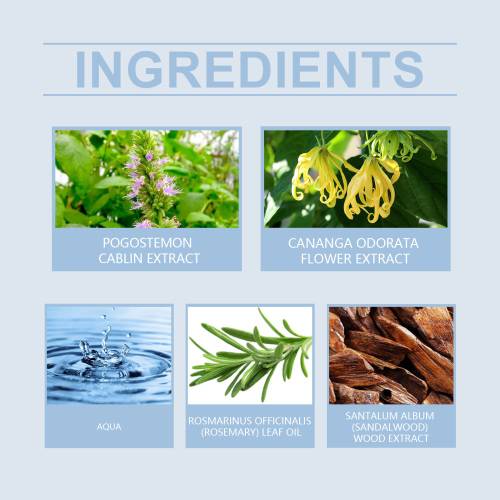 Men's Sandalwood Rosemary Perfume