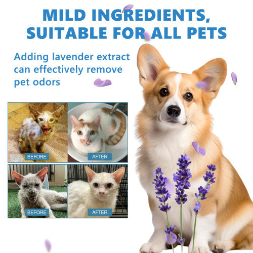 Pet Leave-In Coat Serum Set