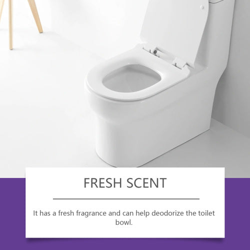 Toilet Cleaning Powder
