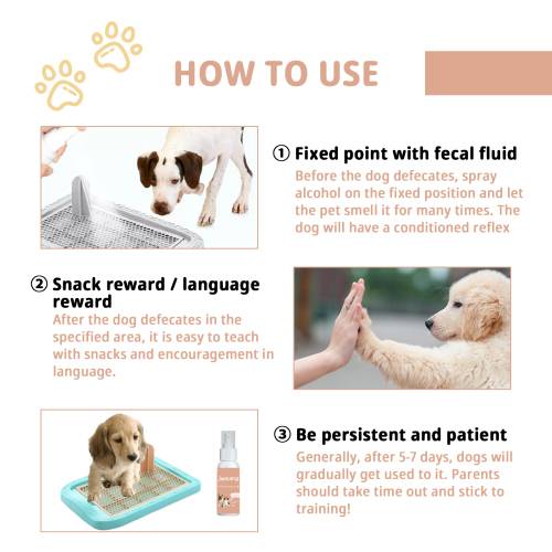 Pet Potty Training Spray