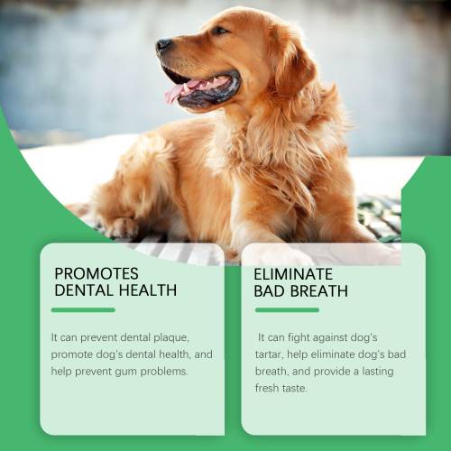 Pet Dental Water Additive