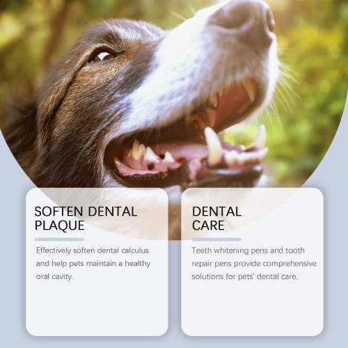 Pet Teeth Brightening Pen Set