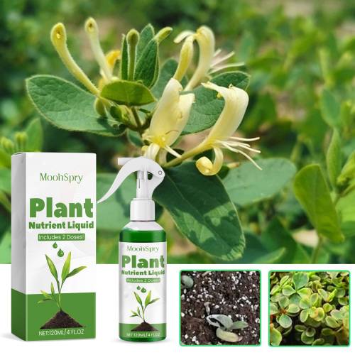 Slow-Release Plant Nutrient Solution