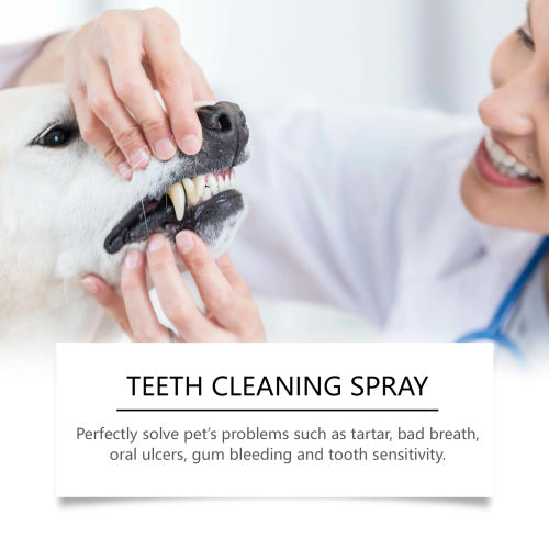 Pet Breath Spray