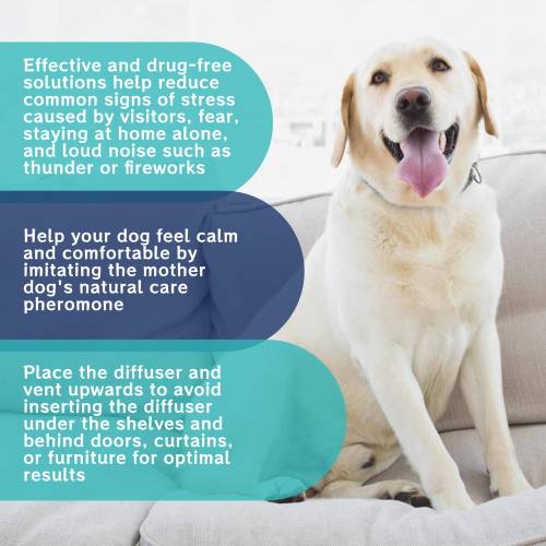 Pet Calming Solution