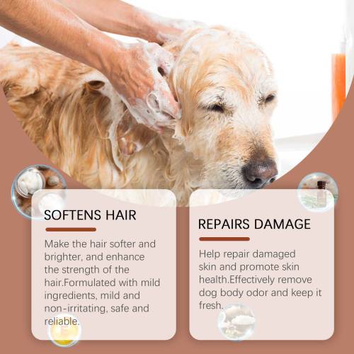 Vitamin Dog Shampoo