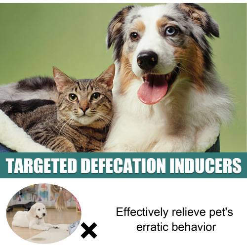 Pet Potty Training Aid