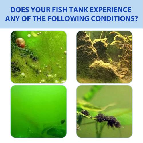 Fish Tank Algae Powder