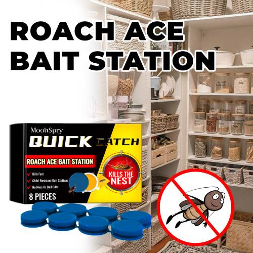 Cockroach Bait Station