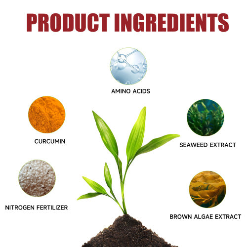 Organic Slow-Release Fertilizer Tablets for Flowers & Trees