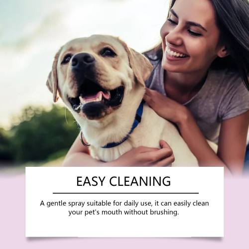 Pet Tooth Stain Spray