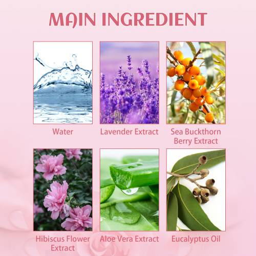 Women's Hibiscus Aloe Spray