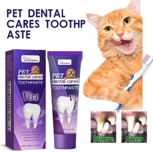 Pet V34 Toothpaste
