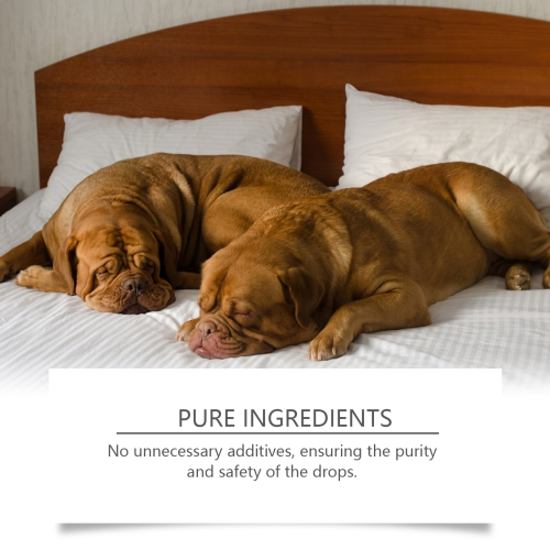 Dog Nighttime Drops